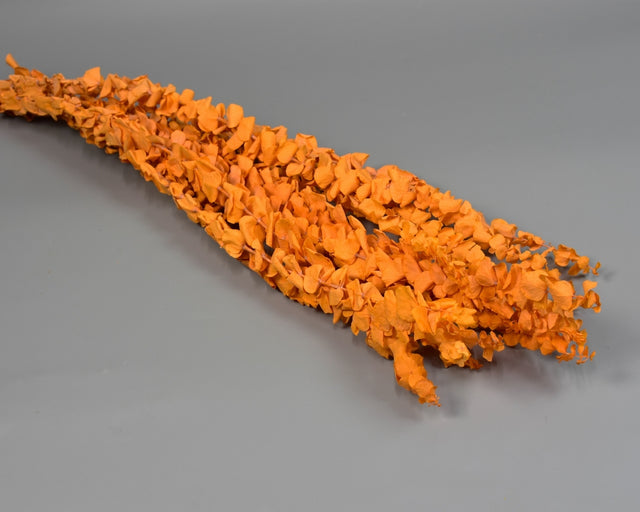 Image for Creanga Eukalypt baby blue prep. inalbit portocaliu