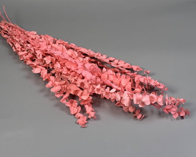 Image for Creanga Eukalypt baby blue prep. inalbit roz