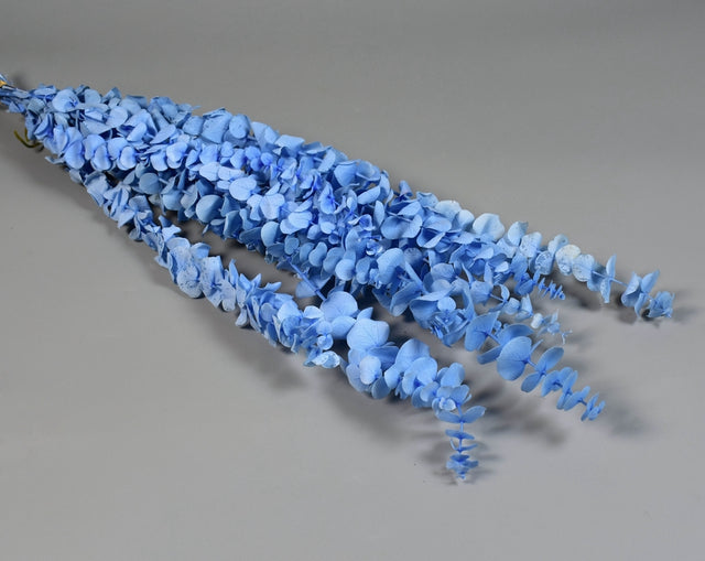 Image for Creanga Eukalypt baby blue prep. inalbit albastru