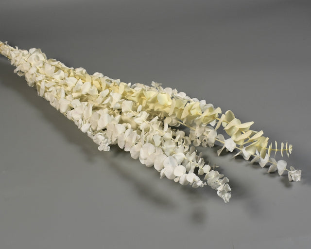 Image for Creanga Eukalypt baby blue prep. inalbit