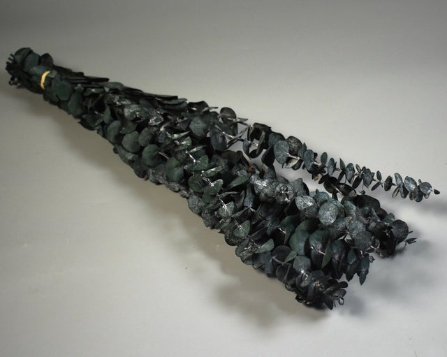 Image for Eukalypt baby blue prep.albastru