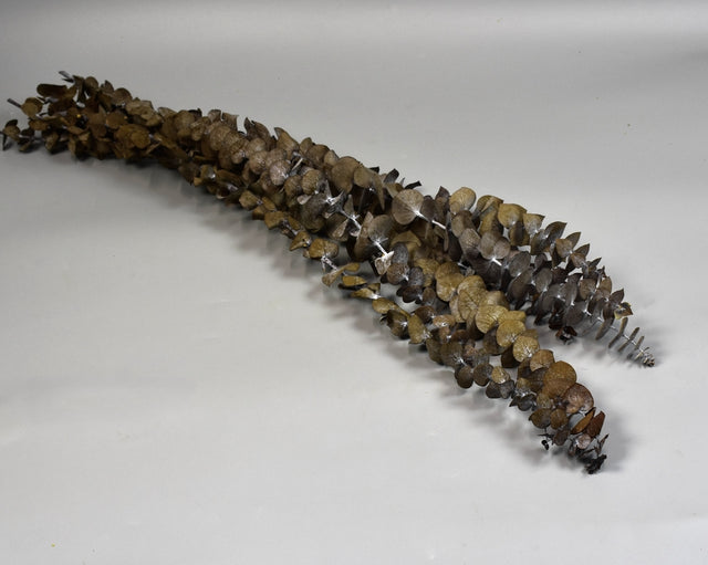 Image for Eukalypt baby blue prep.verde oliv