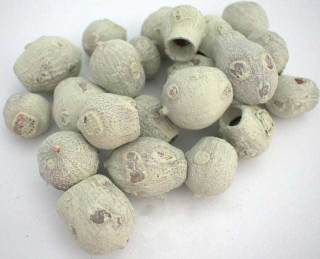 Image for Eukalypt/Bell gum vospit verde des.