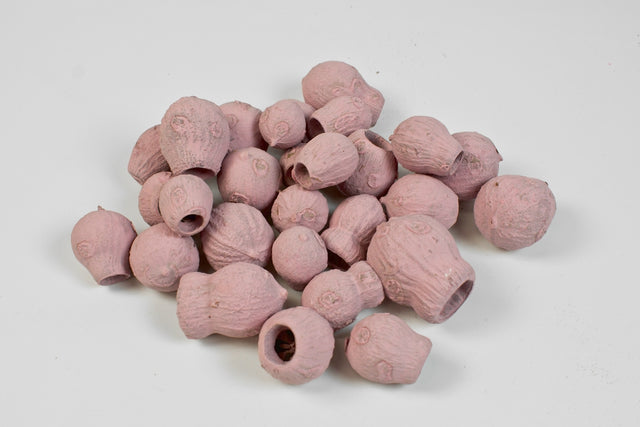 Image for Eukalypt/Bell gum vopsit roz