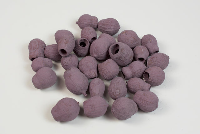 Image for Eukalypt/Bell gum vopsit mure