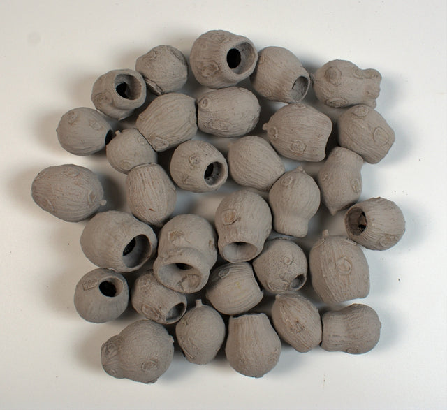 Image for Eucalypt Bell Gum vopsit gri