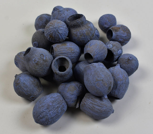 Image for Eucalypt /Bell Gum vopsit very pery