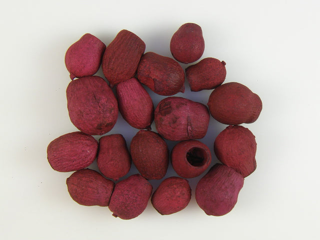 Image for Eukalypt Bell gum rosu