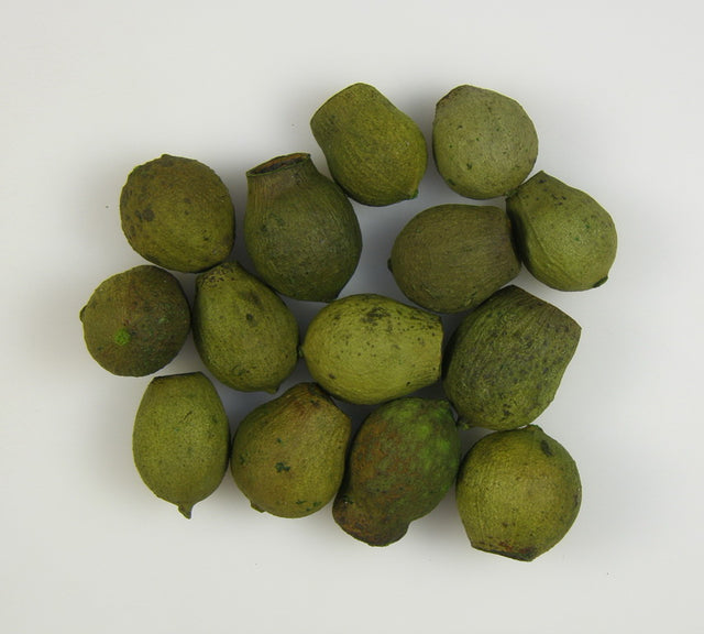 Image for Eukalypt/Bell gum ver. des.