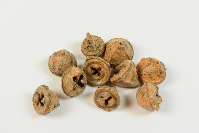 Image for Nasturi Eukalypt cerat portocaliu