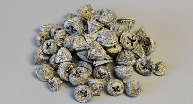 Image for Nasturi eucalipt cu chiciura