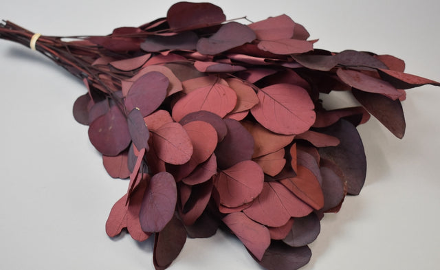 Image for Creanga eucalypt cu frunze rotunde bordeaux