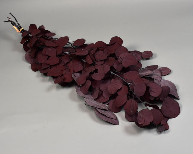 Image for Eukalypt cu frunza rotunda prep.rosu