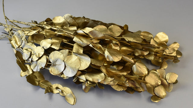 Image for Creanga eucalypt cu frunze rotunde prep. auriu