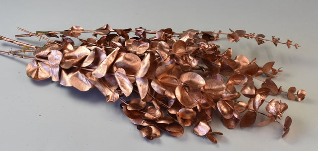 Image for Creanga eucalypt cu frunze rotunde prep.bronz