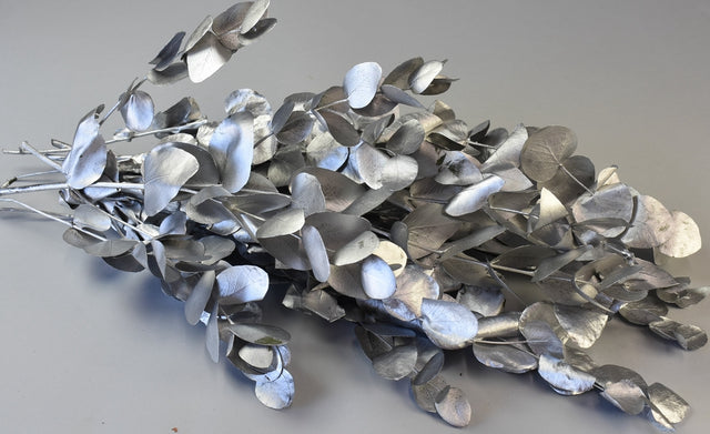 Image for Creanga eucalypt cu frunze rotunde prep.argintiu