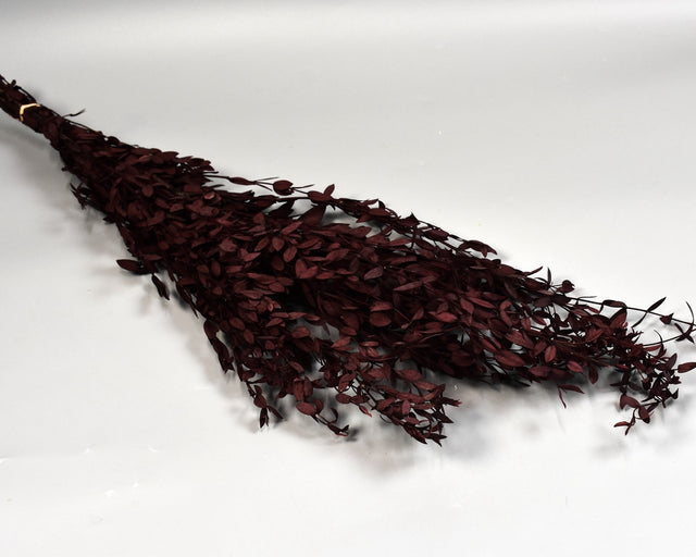 Image for Eukalypt parvifolia prep.rosu