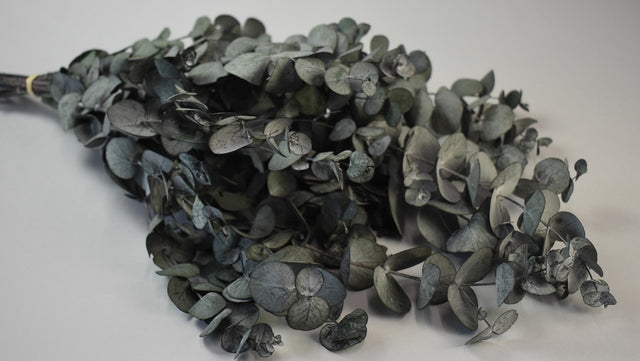 Image for Creanga eucalypt spiral verde inchis