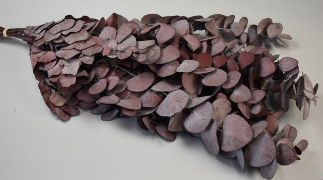 Image for Creanga eucalypt spiral bordeaux