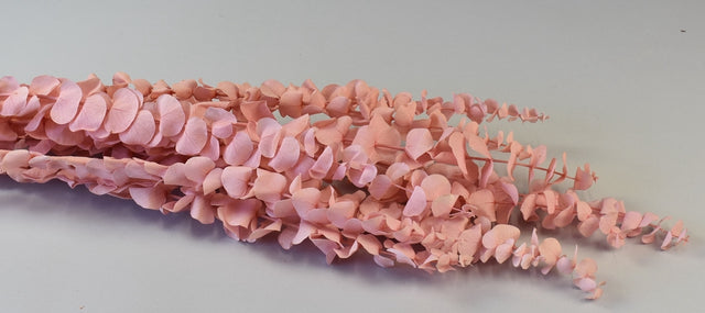 Image for Creanga eucalypt spiral prep.inalbit piersica