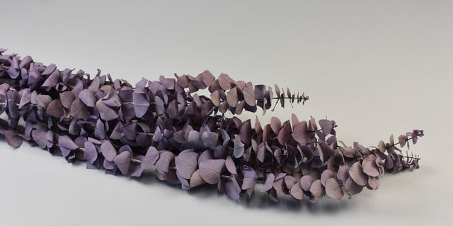 Image for Creanga eucalypt spiral prep.inalbit mov