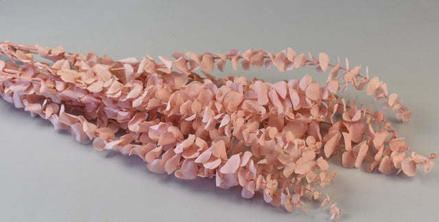 Image for Creanga Eucalypt Spiral Prep.Inalbit Roz