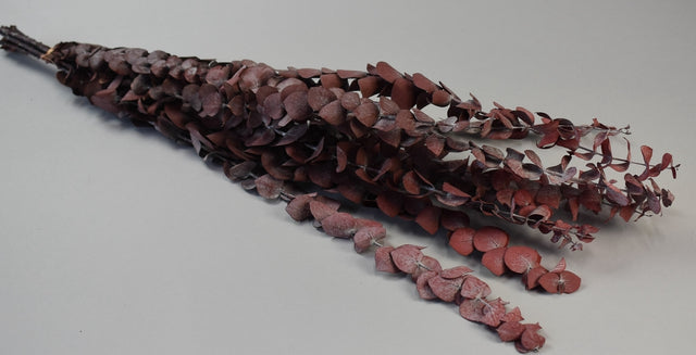 Image for Creanga Eukalypt spiral prep.rosu