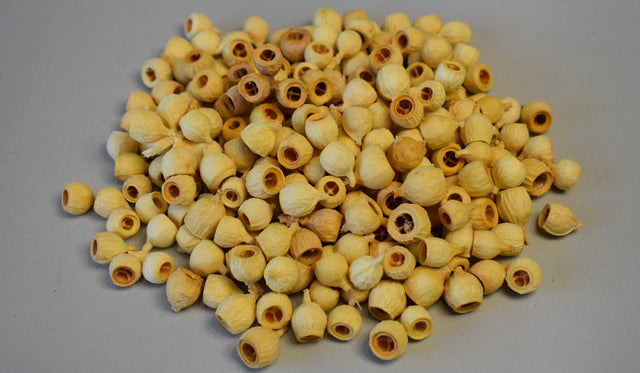 Image for Fructe de eucalypt mini inalbit