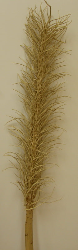 Image for O mie de serpi natur