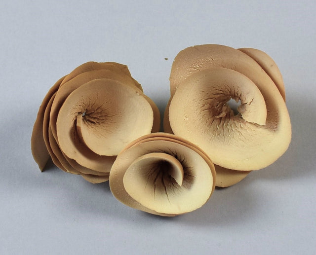 Image for Flori din lemn 2cm natur