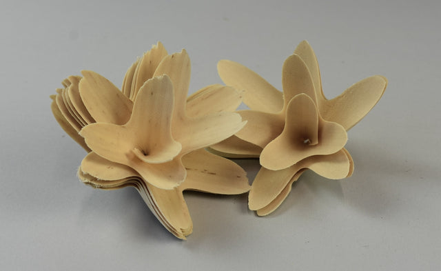 Image for Flori din lemn 6cm alb