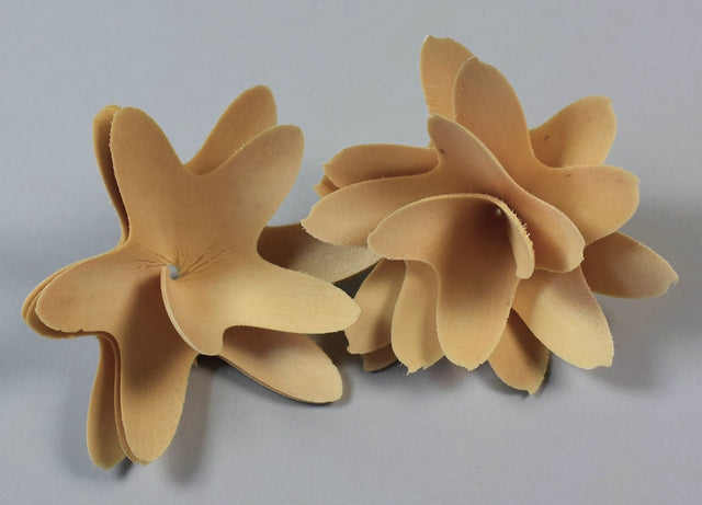 Image for Flori din lemn 6cm natur