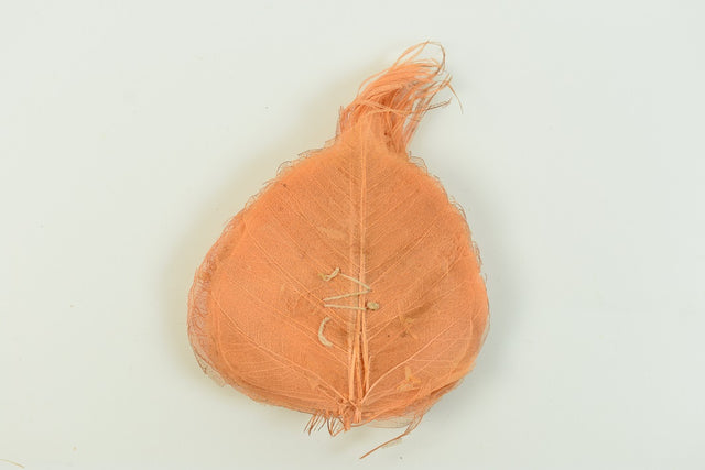 Image for Frunze voal S/100 piersica