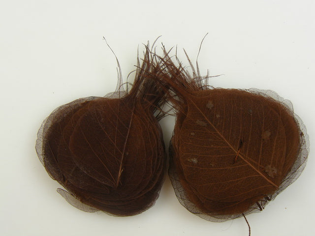 Image for Frunze voal S/100 maro