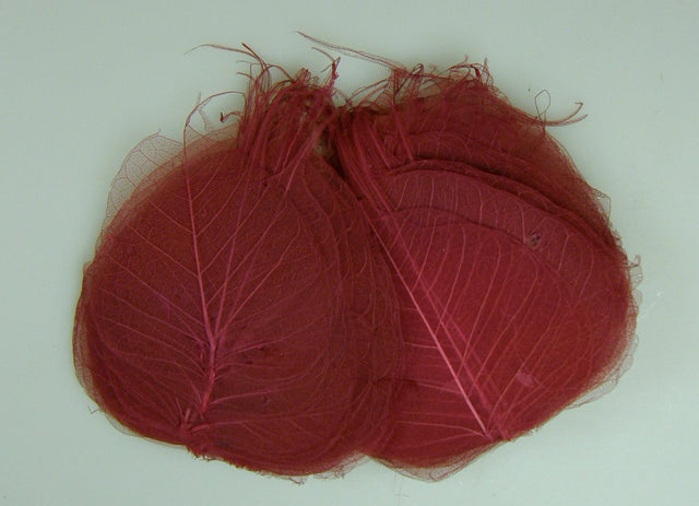 Image for Frunze voal S/100 bordeaux