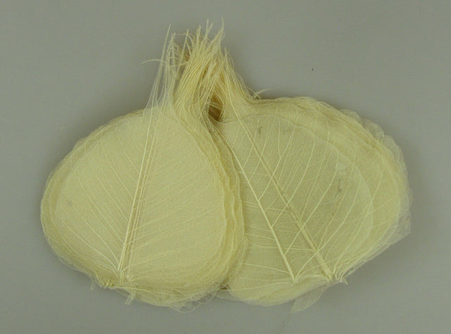 Image for Frunze voal s/100 inalbit