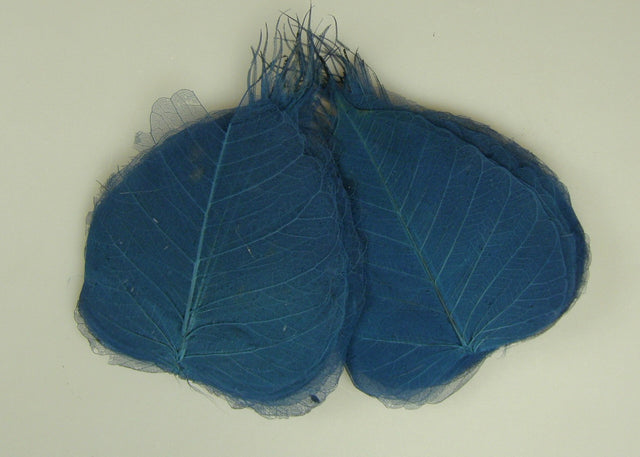 Image for Frunze voal 6cm 100buc. albastru