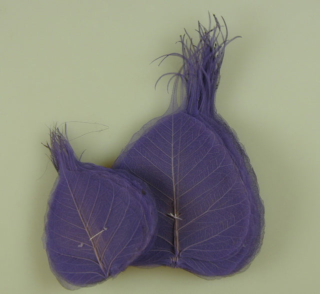 Image for Frunze voal S/100 mov