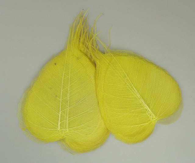 Image for Frunze voal 6cm 100buc. galben