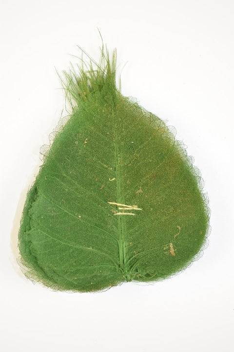 Image for Frunze voal S/100 verde inchis