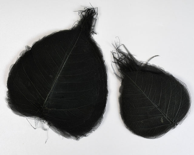 Image for Frunze voal 100buc/pachet gri