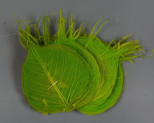 Image for Frunze voal S/100 verde deschis