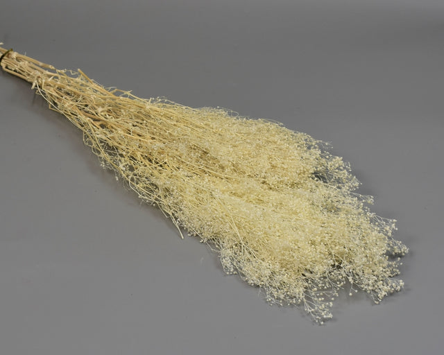 Image for Floare de voal salbatic prep.inalbit