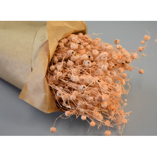 In 100gr inalbit piersica in hartie