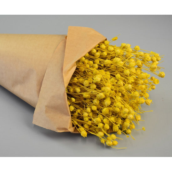 In 100gr.inalbit galben in hartie