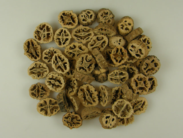 Image for Felii de nuca neagra natur