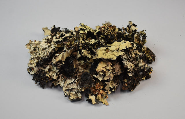 Image for Muschi negru natur