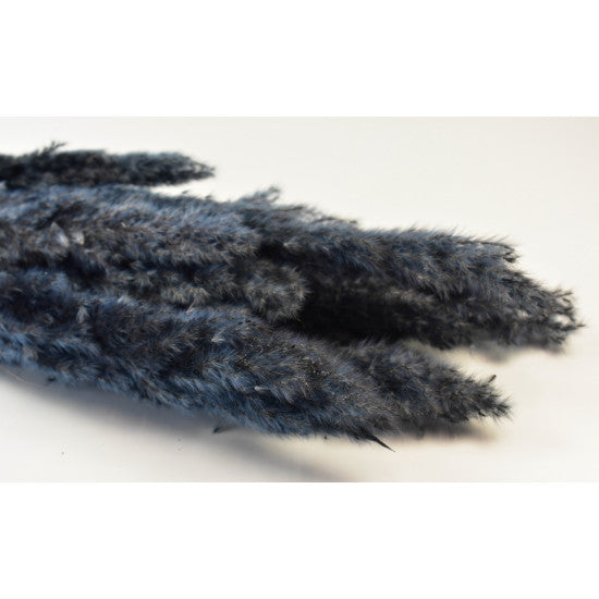 Iarba pampas india negru