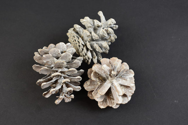 Image for Conuri de pin cu chiciura 1kg