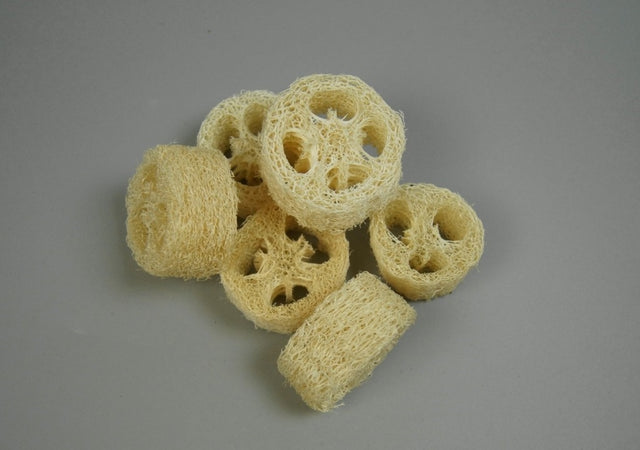 Felii de luffa 2,5cmx5-8cm inalbit